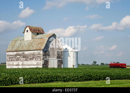 Illinois,Midwest,Tuscola,crop,barn,rural,agricultural,agriculture,farming,farm,harvester combine,soybean,visitors travel traveling tour tourist touris Stock Photo