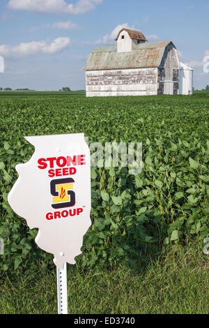 Illinois Tuscola,crop,barn,rural,agricultural,farming,farm,harvester combine,soybean,seed marker,sign,IL140904097 Stock Photo