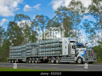 Long semi trailer truck / road train carrying dangerous cargo, cylinders of LP gas, on country road in Australia under blue sky Stock Photo