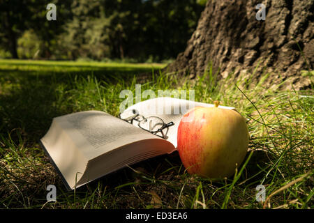 book, glasses, apple on forest ground Stock Photo