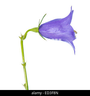 beautiful blue hand bell is isolated on white background, closeup Stock Photo
