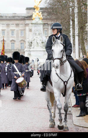 Mounted Police security London England