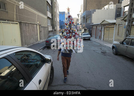 Tehran, Iran. 25th Dec, 2014. December 25, 2014 - Tehran, Iran - An Iranian salesman carrying a decorated christmas tree for his client in Tehran's business district. Morteza Nikoubazl/ZUMAPRESS Credit:  Morteza Nikoubazl/ZUMA Wire/Alamy Live News Stock Photo