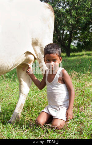 1 indian rural child boy with farm Cow Stock Photo