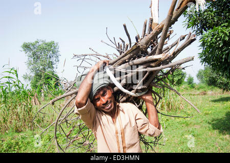 A Happy Indian farmer carrying a bunch of Indian paddy from the paddy ...