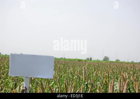 1 rural child boy Farm showing  Message Board Stock Photo