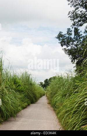 Rural Village Road side nobody Stock Photo