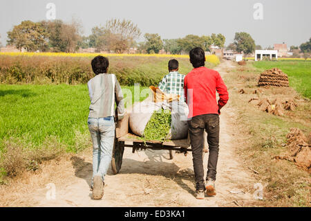 3 indian rural farmer Seasoning Cart Stock Photo