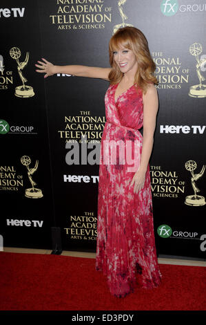 Daytime Emmy Awards 2014 - Arrivals  Featuring: Kathy Griffin Where: Los Angeles, California, United States When: 23 Jun 2014 Stock Photo