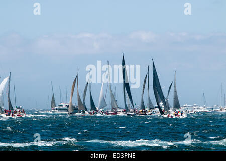 Sydney, Australia. 26th December, 2014.  Start of 70th Sydney to Hobart Yacht Race in Sydney Harbour, Australia. Yachts heading out of sydney harbour Credit:  martin berry/Alamy Live News Stock Photo