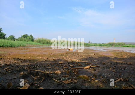 Effects Environmental from Chemicals and heavy metals in soil occur from Industrial Heavy metal release poisoning in soil. Stock Photo