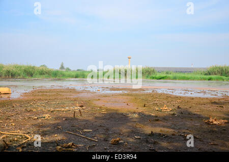 Effects Environmental from Chemicals and heavy metals in soil occur from Industrial Heavy metal release poisoning in soil. Stock Photo