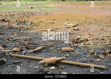 Effects Environmental from Chemicals and heavy metals in soil occur from Industrial Heavy metal release poisoning in soil. Stock Photo