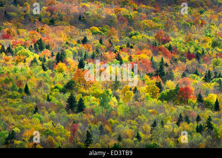 Autumn colors in New Hampshire Stock Photo