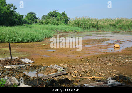 Effects Environmental from Chemicals and heavy metals in soil occur from Industrial Heavy metal release poisoning in soil. Stock Photo