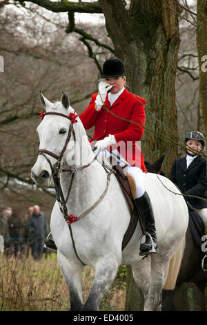 Rivington, Horwich near Bolton, Lancashire. UK  26th December, 2014: Susan Simmons from Preston who is the Senior Lady Master of the Holcombe  Hunt, on her horse Taffy, at Rivington where Horses and riders gather for the Annual Boxing Day Hunt. Credit:  Cernan Elias / Alamy Live News Stock Photo