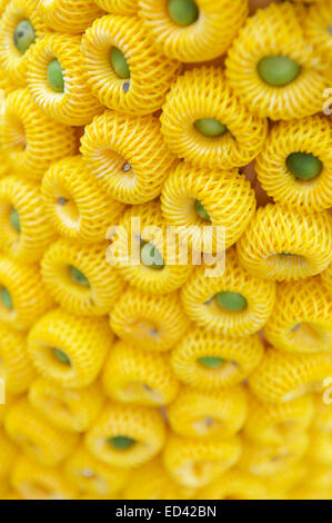 Yellow and green stylized flower background decoration at the entrance to a Buddhist temple in Chiang Mai Thailand Stock Photo
