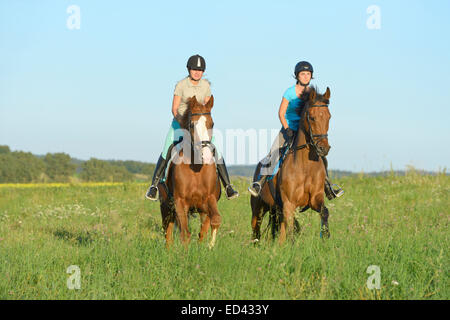 Two young rider on back of German warmblood horses galloping in a meadow in summer Stock Photo