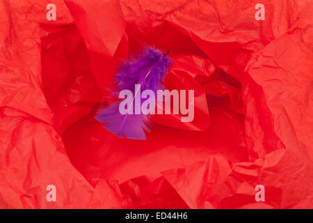 Red gift paper and violet feather - background Stock Photo