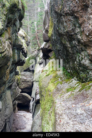 Moose Cave Gorge in Grafton Notch State Park in Newry, Maine USA during the autumn months Stock Photo