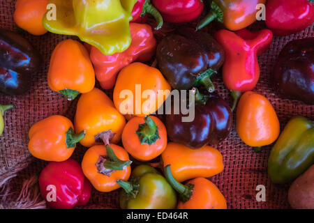 Peppers of various colors, colours, red, orange, green on sacking. Stock Photo