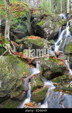 Tributary of Lost River on the northern slopes Mount Waternomee in ...