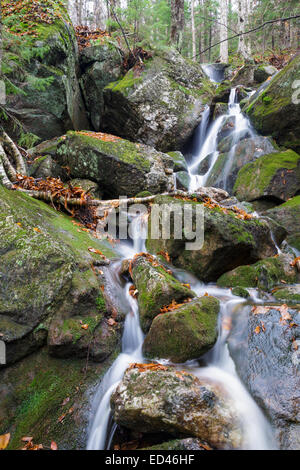 Tributary of Lost River on the northern slopes Mount Waternomee in ...