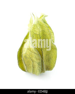 Physalis on a white background Stock Photo