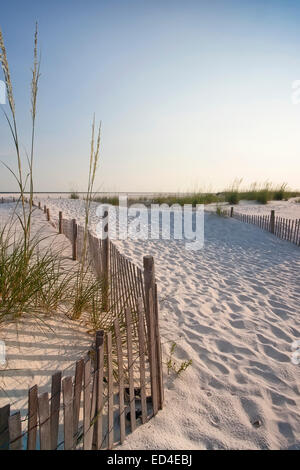 Footpath in the sand dunes bordered by sea oats and sand fences leads to the Gulf of Mexico in Florida on a summer morning. Stock Photo