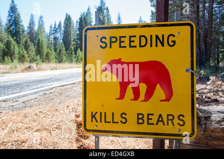 A yellow Spped kills bears sign in Yosemite National Park, each sign marks a spot where a bear has been killed by traffic, California, USA. Stock Photo