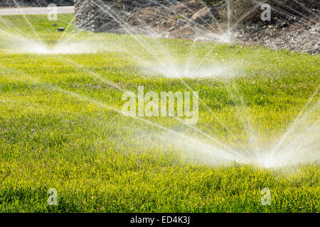 Despite the worst drought in living memory, that has lasted over four years, people are still watering their lawns in Fresno, California, USA. Most of California is in exceptional drought, the highest level of drought classification. 428,000 acres of agricultural land have been taken out of production due to lack of water, thousands of agricultural workers have lost their jobs and one third of all children in California go to bed hungry. Stock Photo