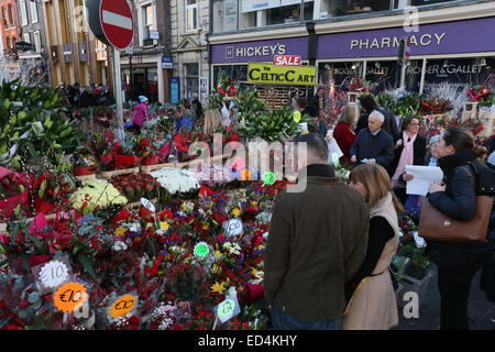 Image of flower stalls on Grafton Street in Dublin city centre as trade booms in the run up to Christmas. Stock Photo