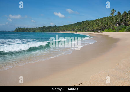 Sandy paradise beach with coconut palms, golden sand and emerald green water on the edge of Indian Ocean, Tangalle, Sri Lanka Stock Photo