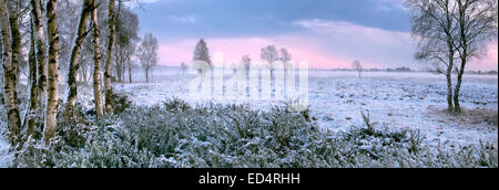 Panoramic of Strensall Common near York, North Yorkshire, under snow in mid-winter. Stock Photo