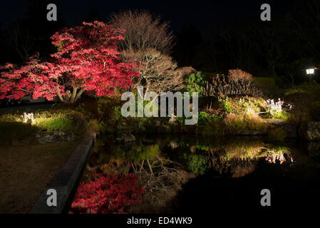 Eikan-do Zenrin-ji Temple floodlit autumn foliage, Kyoto, Japan. Stock Photo