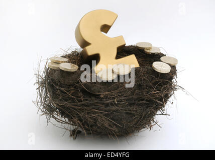 BRITISH POUND SIGN IN BIRDS NEST WITH POUND COINS RE THE ECONOMY NEST EGG SAVINGS PENSIONS RETIREMENT PENSIONERS MONEY CASH UK Stock Photo