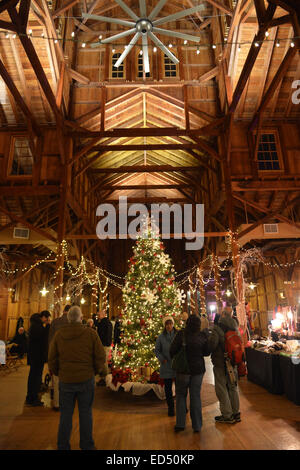 Old Bethpage, New York, USA. 26th Dec, 2014. A large traditional 1866 decorated Christmas Tree tree is under the high ceiling of the Barn wood peg spire at night, on the historic, rustic grounds of Old Bethpage Village Restoration, transformed by candlelight and Christmas decorations into a Nineteenth Century holiday experience for Long Island visitors. Candlelight Evenings are held until December 30th. © Ann Parry/ZUMA Wire/Alamy Live News Stock Photo