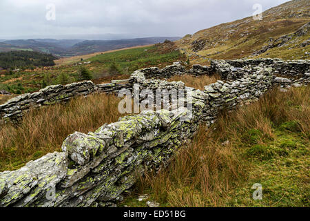 Drystone walls on Moel Siabod, Capel Curig, Gwynedd, North Wales, UK Stock Photo