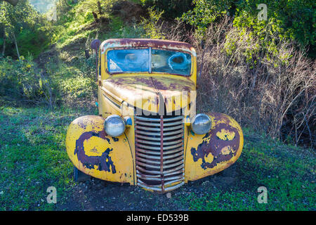 Front exterior, with grill and headlights, of an old abandoned truck that rusts away in a forest. Stock Photo