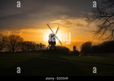 An early morning start walking around Bruge and the first port of call was to the windmills. Stock Photo
