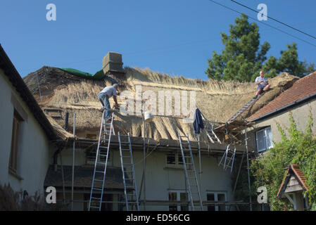 Part re-thatching a Devon cottage in summer using Norfolk Reed ...