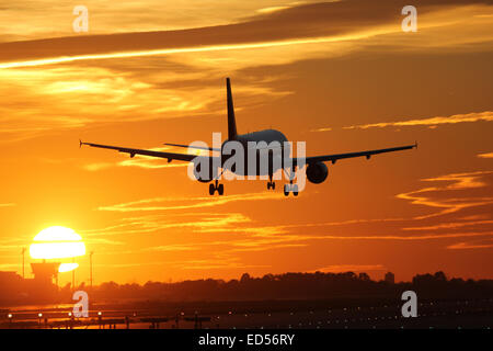 An airplane landing at an airport during sunset on vacation during a journey Stock Photo