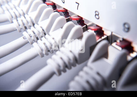 network cable on hub (internet) Stock Photo