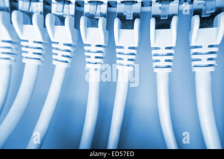 network cable on hub (internet) Stock Photo