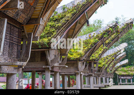 Traditional village of residential buildings with decorated facade and boat shaped roofs. Tana Toraja, South Sulawesi, Indonesia Stock Photo