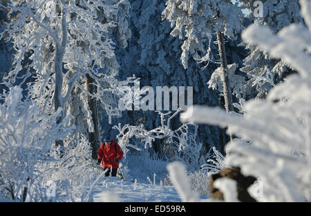 Schmitten, Germany. 28th Dec, 2014. A cross country skier makes his way throught the snowy landscape at Grosser Feldberg mountain in the Taunus region in Schmitten, Germany, 28 December 2014. The first extensive snowfall turned the Taunus region into a winter wonderland. Photo: Arne Dedert/dpa/Alamy Live News Stock Photo