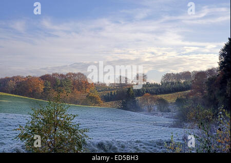 Danish landscape in the early morning. Autumn Stock Photo
