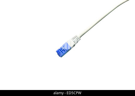 lan cable isolated (white background) Stock Photo