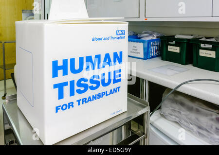 Box in a hospital saying 'Human Tissue for transplant' containing surgical pack for organ harvesting, and instructions for transportation Stock Photo