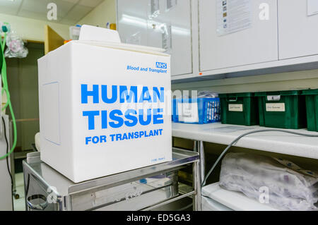 Box in a hospital saying 'Human Tissue for transplant' containing surgical pack for organ harvesting, and instructions for transportation Stock Photo